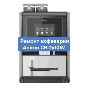 Чистка кофемашины Animo CB 2x10W от накипи в Челябинске